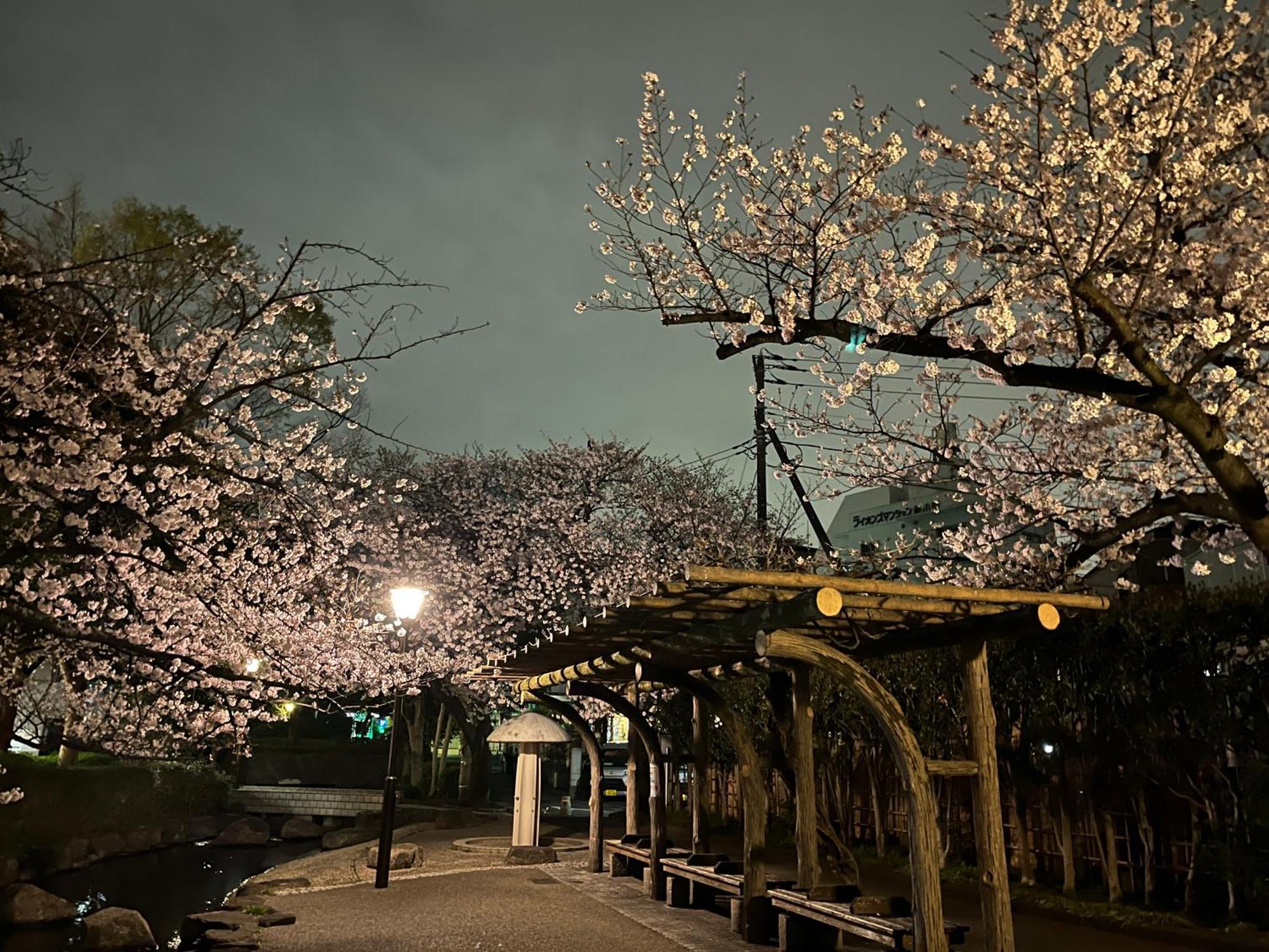 松島雅居 Apartment Tokyo Luaran gambar